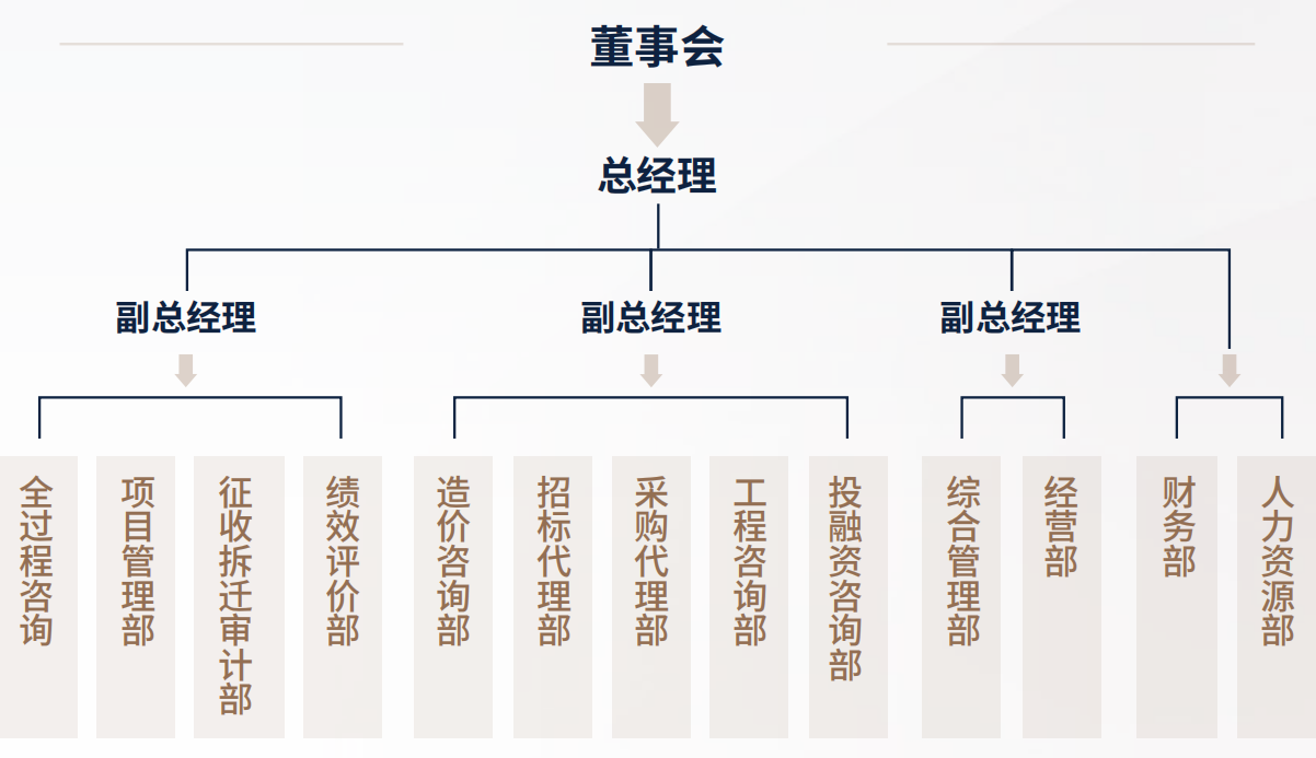 广信咨询_组织架构